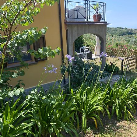 Villa Antonella كاستيلينا ماريتيما المظهر الخارجي الصورة