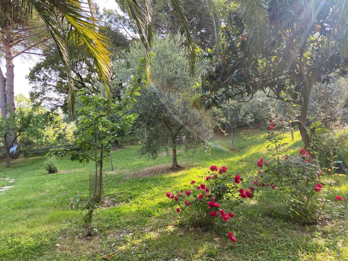 Villa Antonella كاستيلينا ماريتيما المظهر الخارجي الصورة