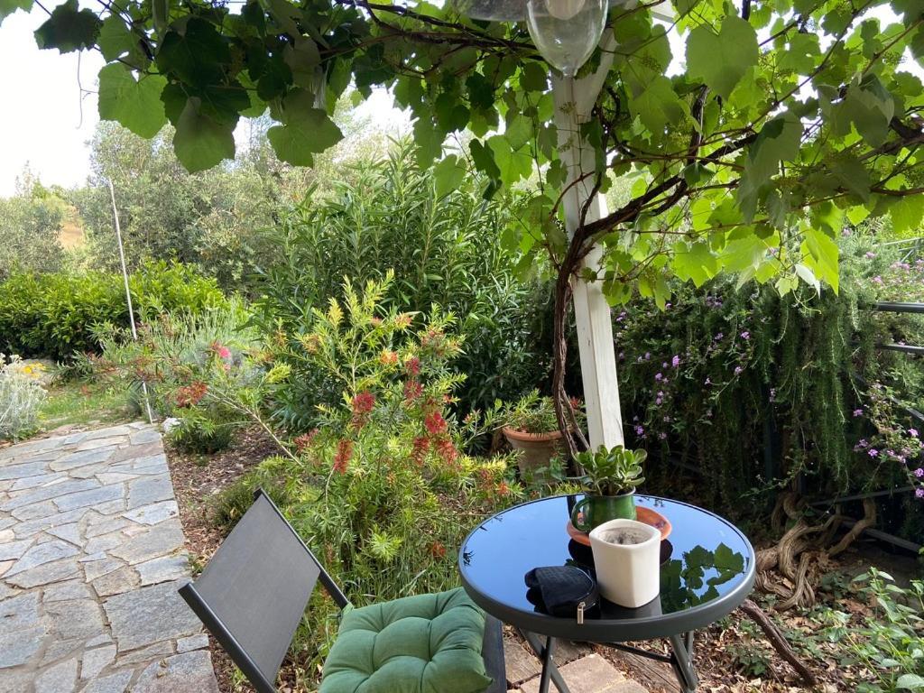 Villa Antonella كاستيلينا ماريتيما المظهر الخارجي الصورة