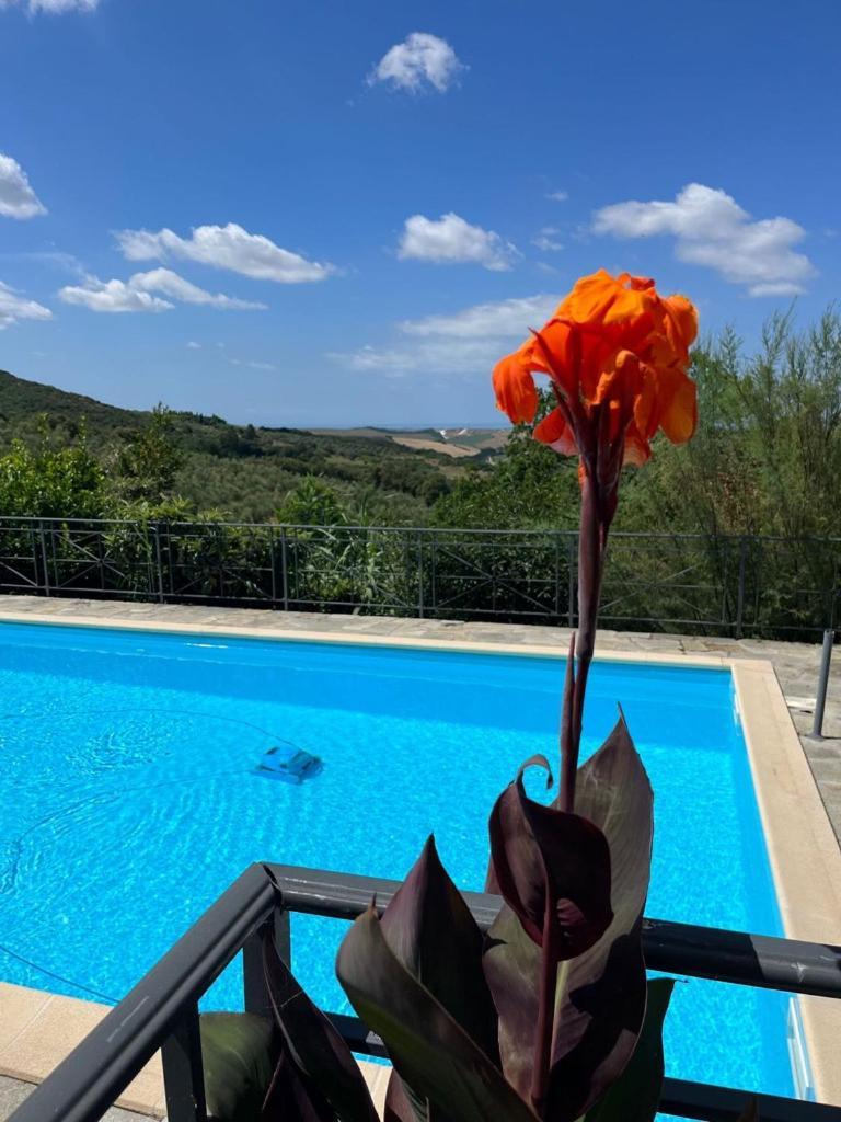 Villa Antonella كاستيلينا ماريتيما المظهر الخارجي الصورة